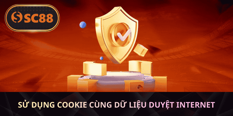 Sử dụng cookie cùng dữ liệu duyệt Internet